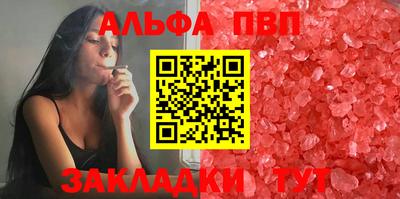 твердый Кингисепп