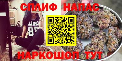твердый Кингисепп