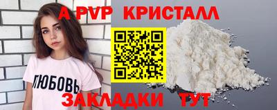 твердый Кингисепп