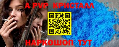 твердый Кингисепп