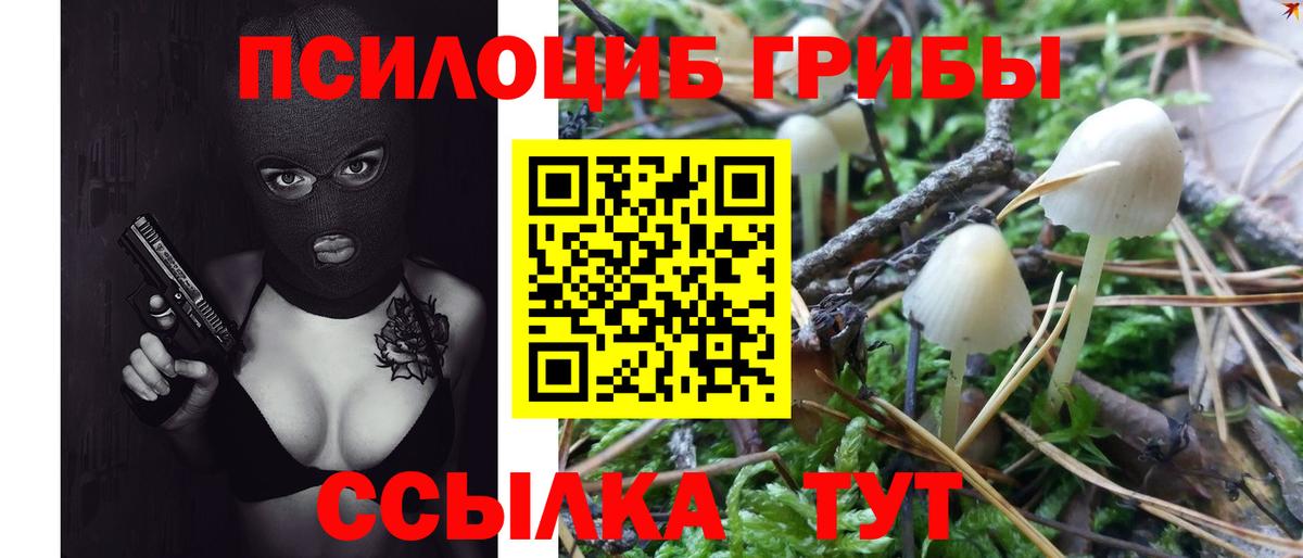 Галлюциногенные грибы Magic Shrooms Коммунар