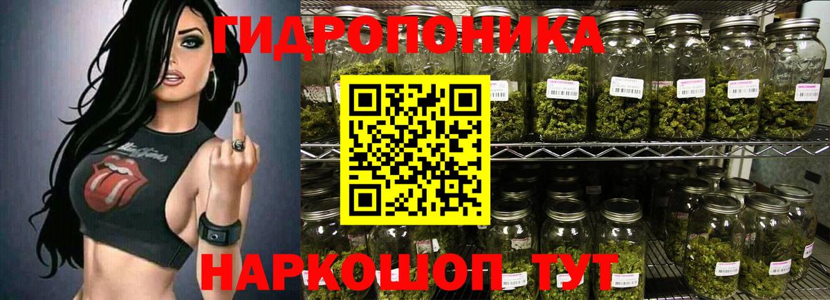Шишки марихуана конопля Коммунар